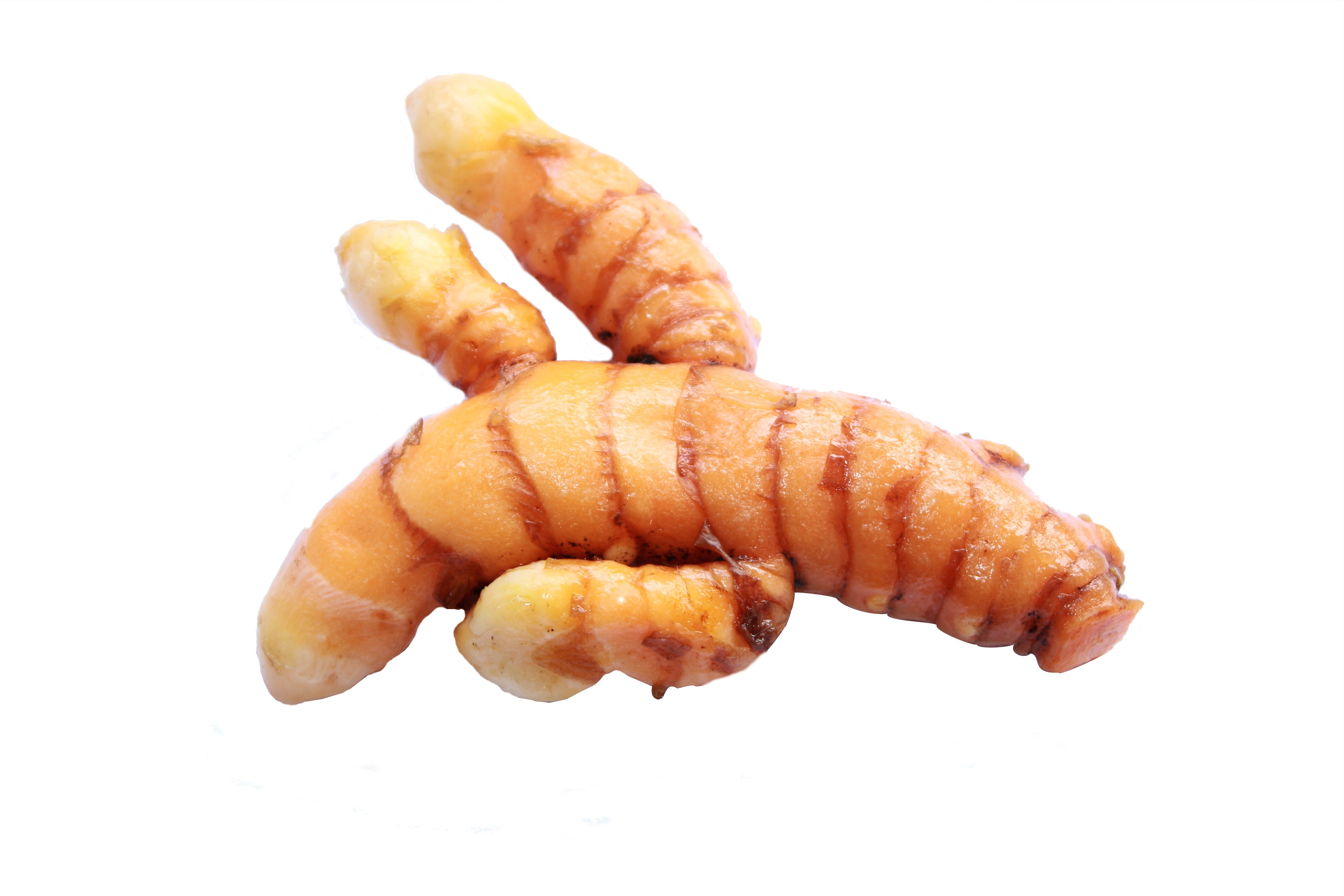 Turmeric Root